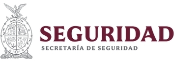 Secretaría de Seguridad Pública